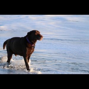 Meet your Posher, Debra